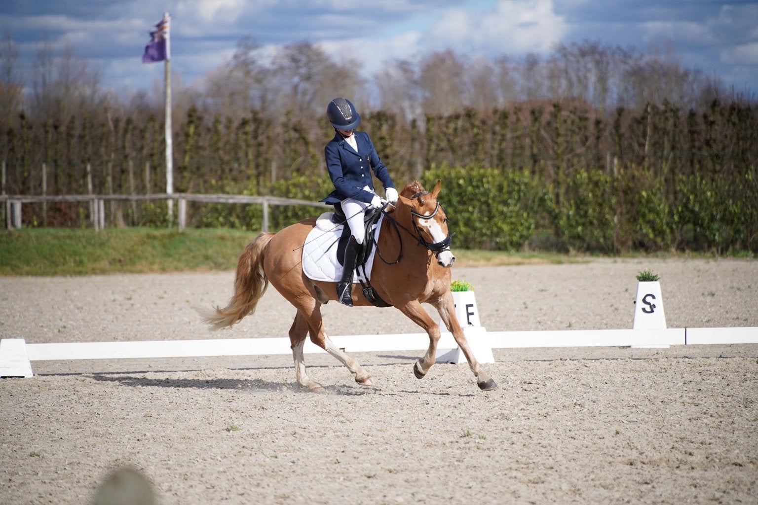Veelzijdige 8-jarige D-pony –dressuur, springen buitenritten, Animaux & Accessoires, Poney de dressage, Hongre, Avec puce électronique