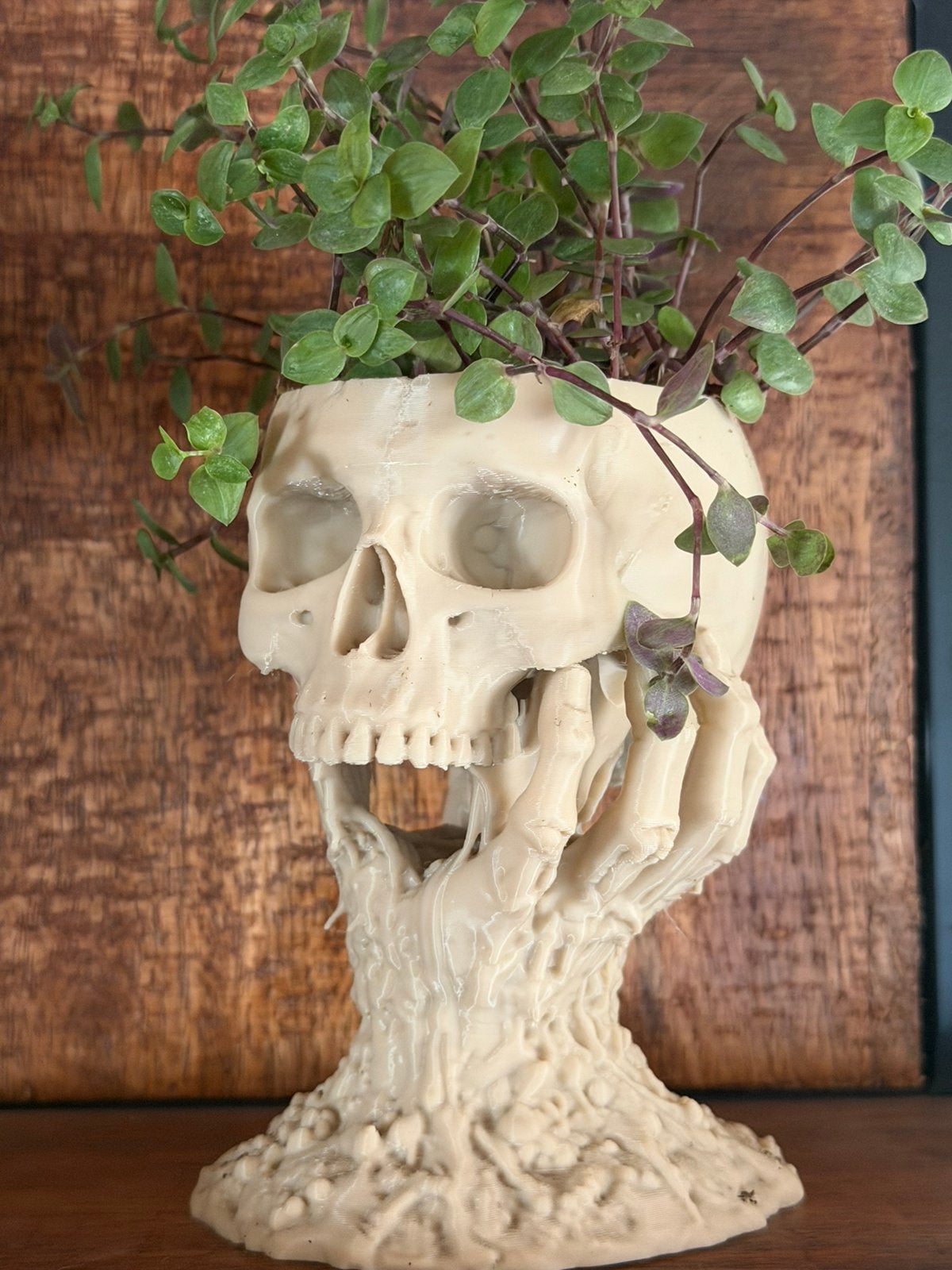 zombiehand met skullplantner, Verzamelen, Beelden en Beeldjes, Ophalen of Verzenden, Nieuw, Fantasy