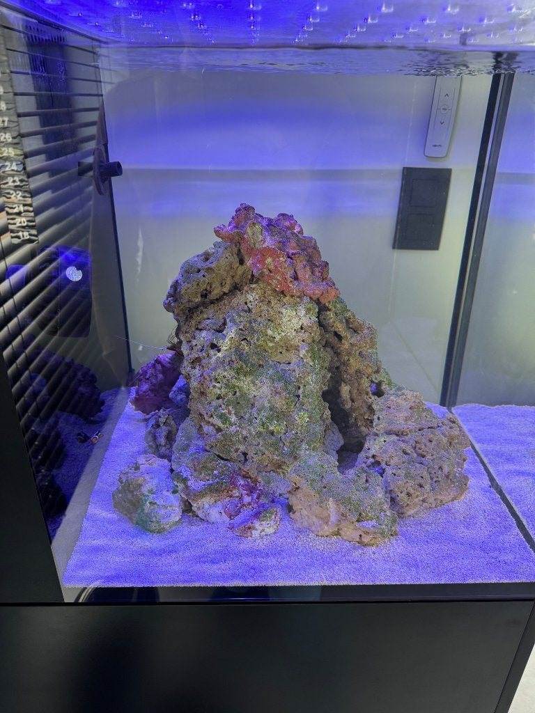 Red Sea Max Nano G2 XL 120L (1j oud), Animaux & Accessoires, Enlèvement, Poissons inclus, Comme neuf, Red Sea