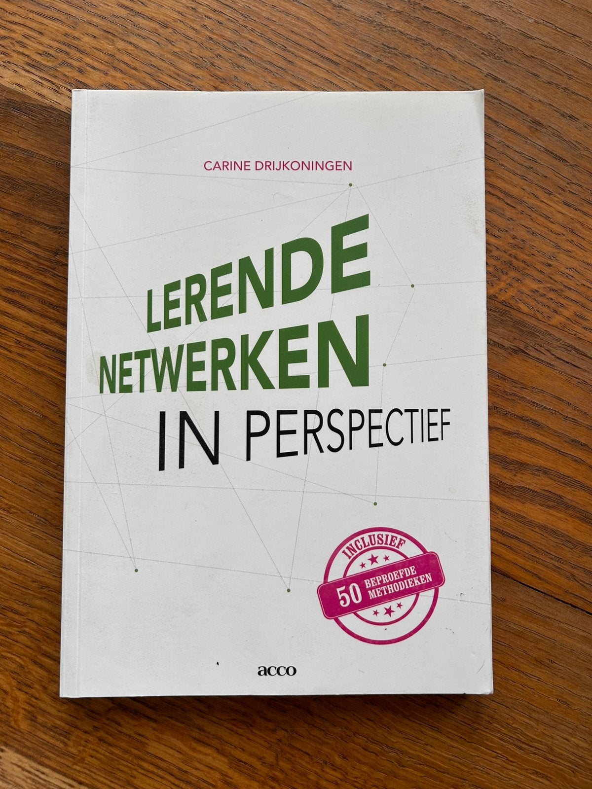 Boek - lerende netwerken in perspectief, Ophalen, Zo goed als nieuw