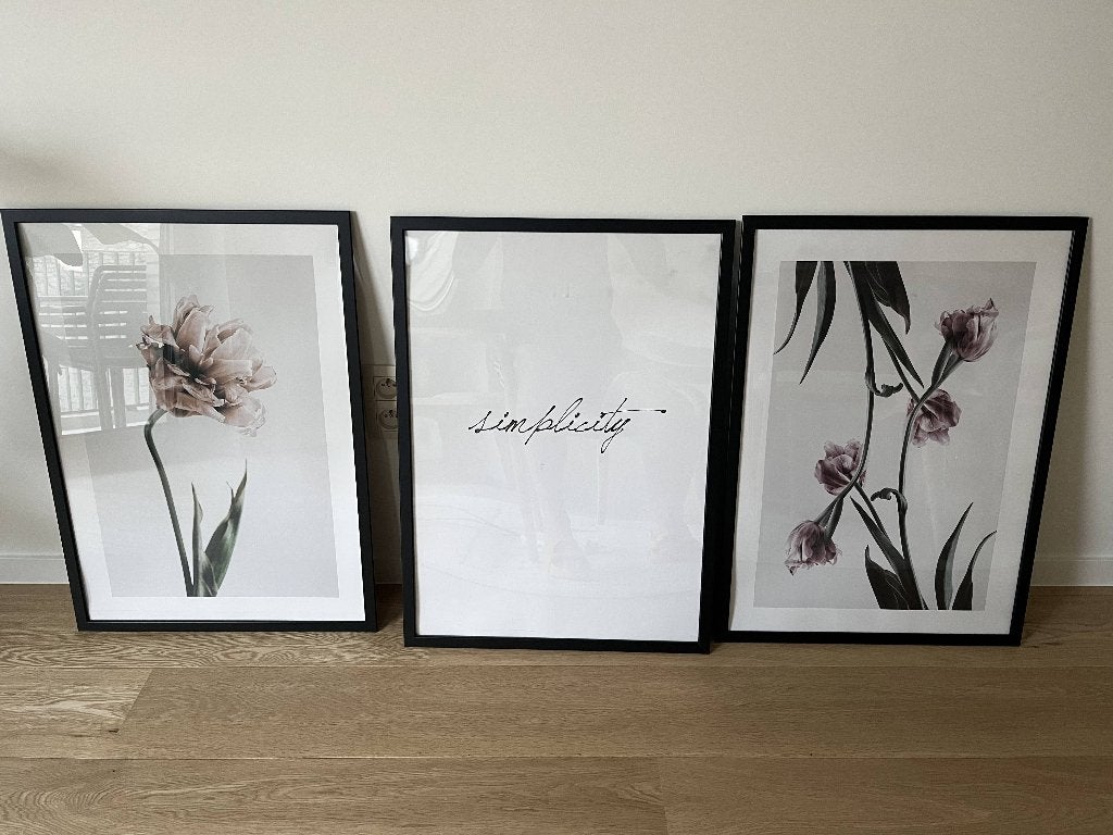 Poste/tirages Modesenio, 50 x 70 cm, Neuf, 50 – 75, 50 à 75 cm, Enlèvement