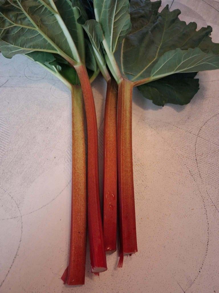 Très bonne rhubarbe, Ophalen, Nieuw