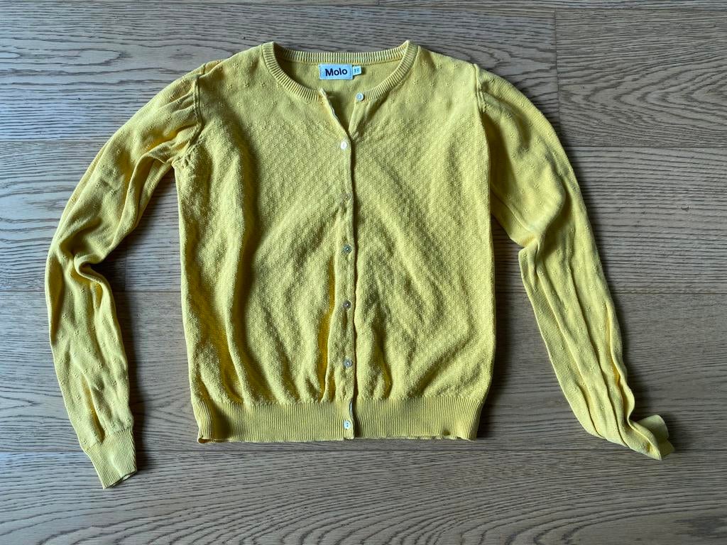 Geel truitje Molo - maat 146, Ophalen of Verzenden, Zo goed als nieuw, Meisje, Trui of Vest