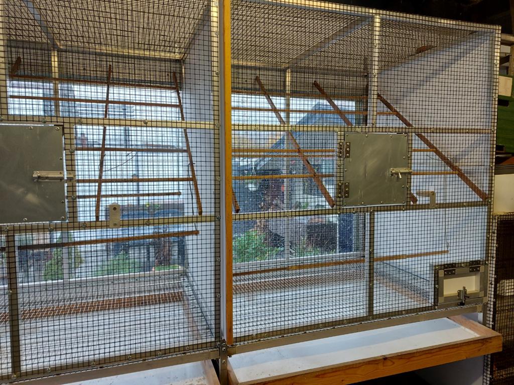 Cage à oiseaux, Enlèvement, Cage à oiseaux