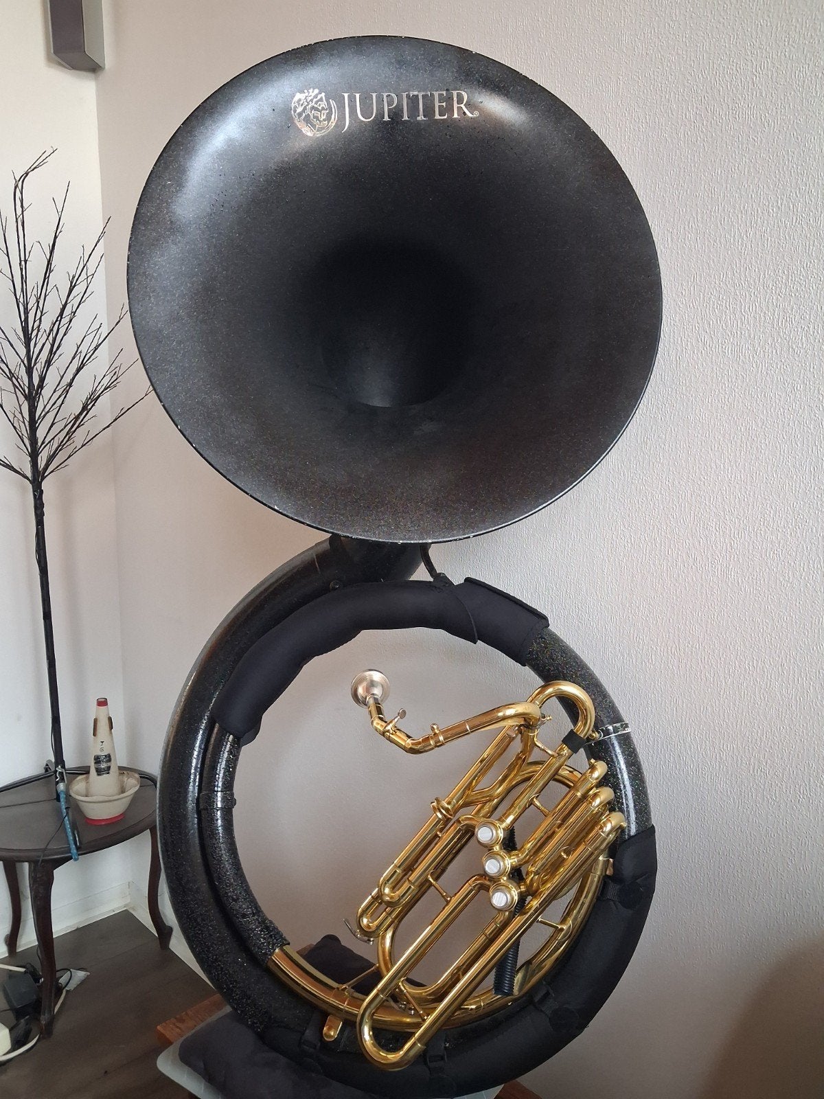 Sousafoon, Muziek en Instrumenten, Ophalen