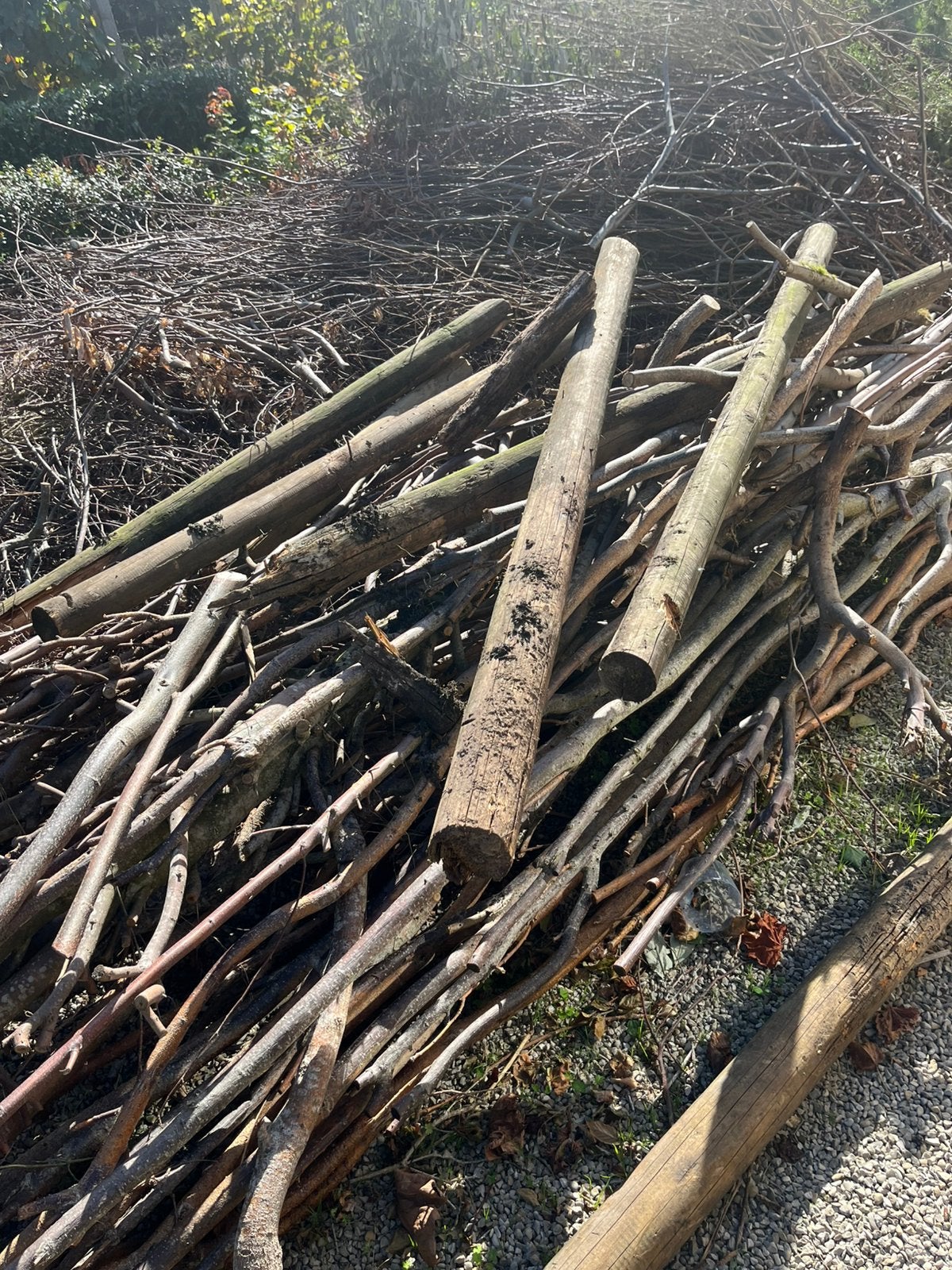 Brandhout Gratis!, Enlèvement, Branches