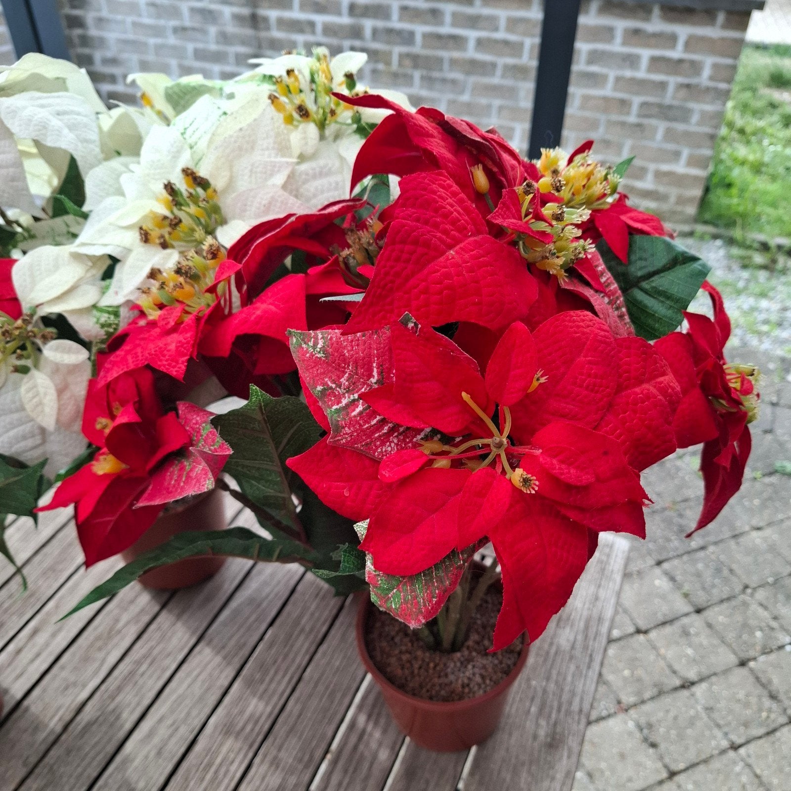 Joli lot de 4 plantes artificielles Poinsettia (Étoiles de N, Enlèvement