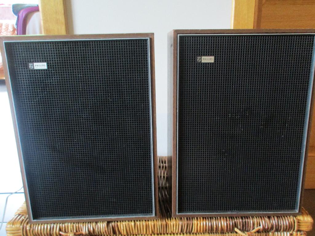 PHILIPS 22RH482 luidsprekers, Ophalen of Verzenden, Philips