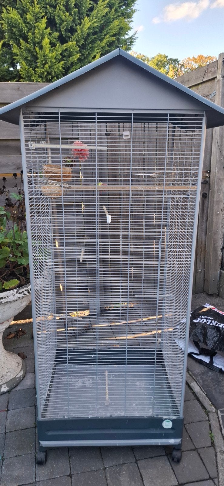 vogels kooi te koop, Enlèvement