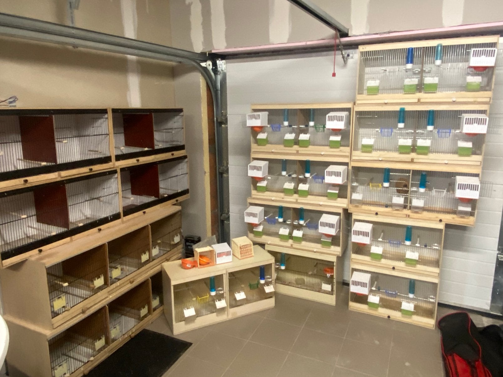 Kweekkooien met led !, Dieren en Toebehoren, Ophalen