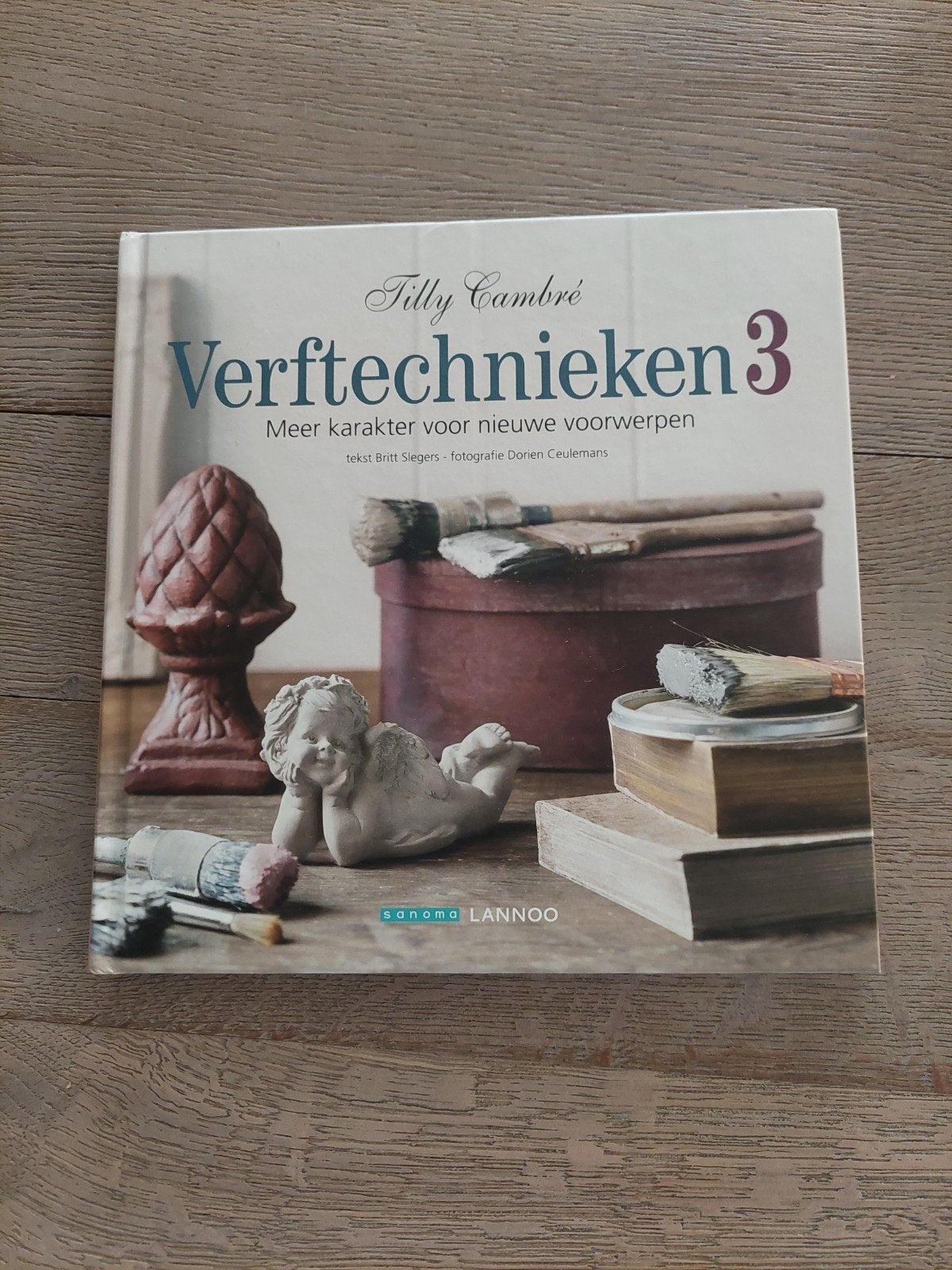Boek Verftechnieken 3 van Tilly Cambré, Boeken, Hobby en Vrije tijd, Ophalen