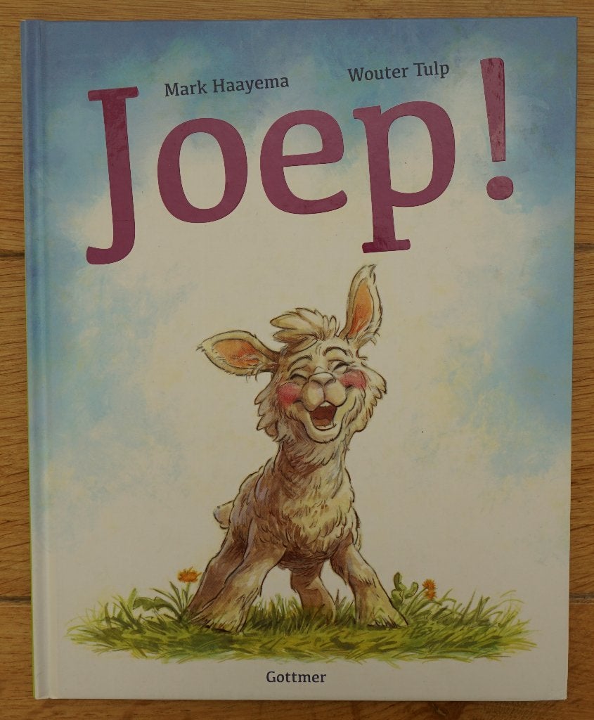 Boek Joep, Ophalen of Verzenden, Gelezen, Fictie algemeen