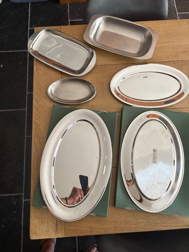 6 Stuks RVS serveer schalen, Huis en Inrichting, Ophalen of Verzenden, Nieuw, Schaal of Schalen