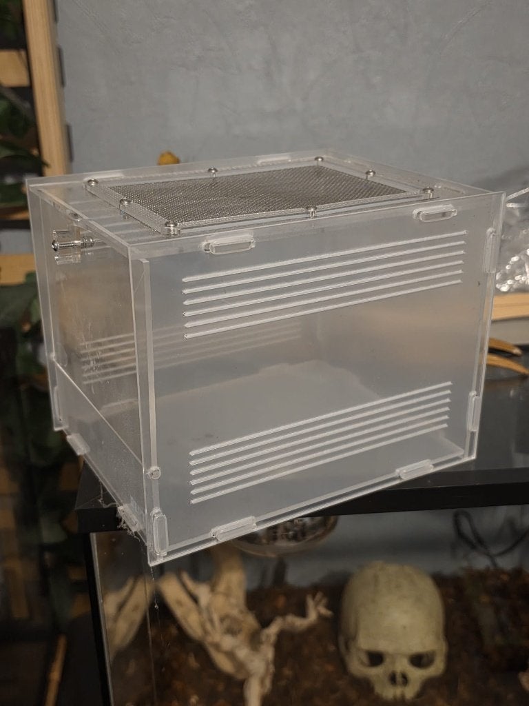 Terrarium pour araignées, Animaux & Accessoires, Autres accessoires pour animaux, Enlèvement, Comme neuf