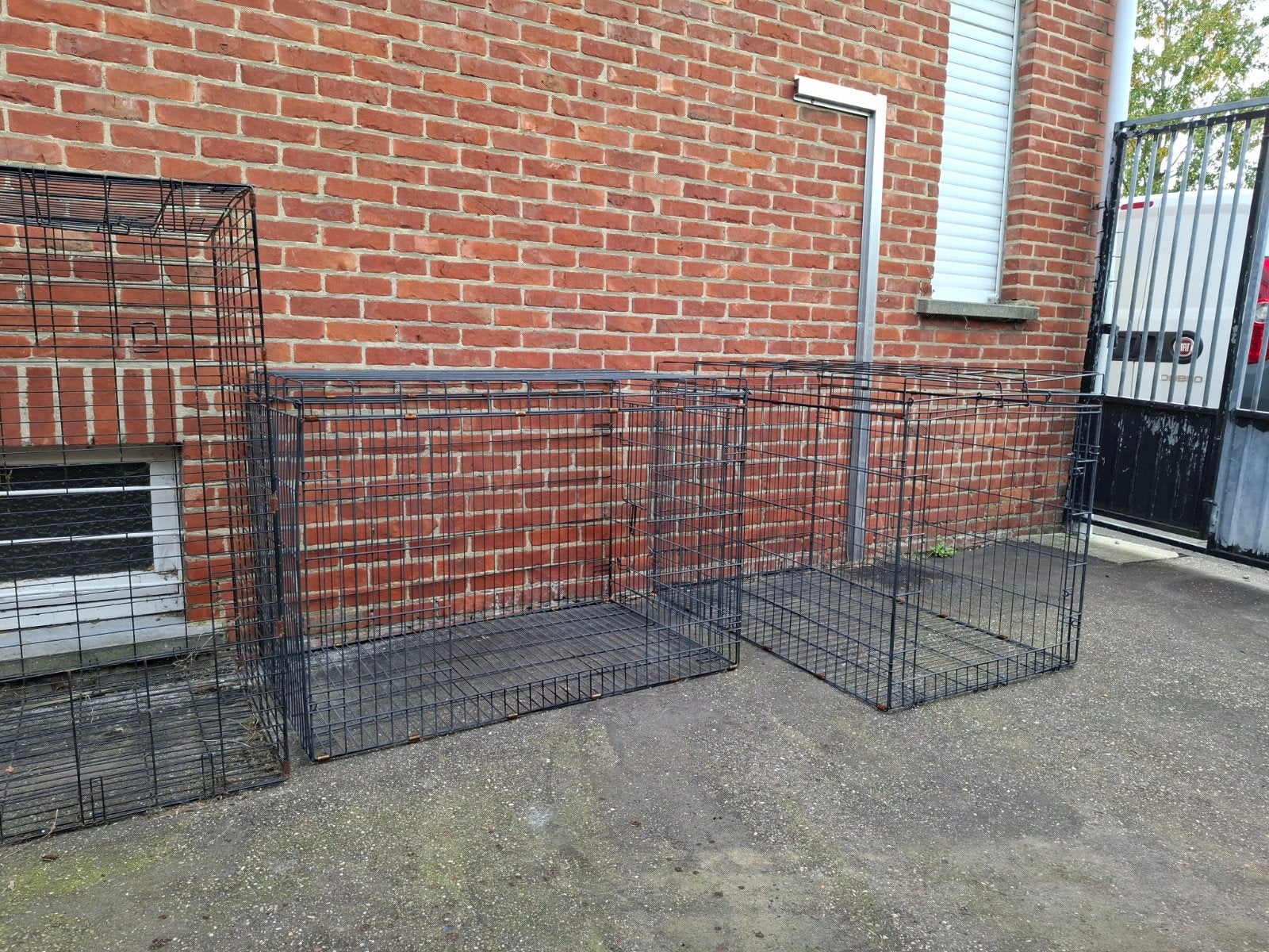 3 XXL hondenbench / containers / kooien, Enlèvement, Utilisé