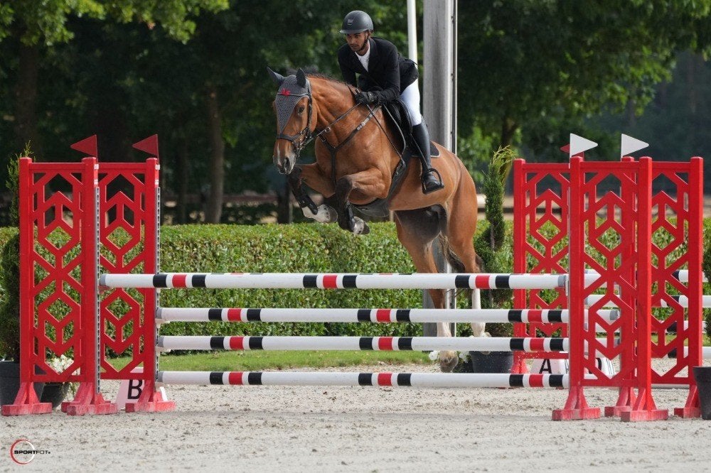 5 jarige springmerrie, Dieren en Toebehoren, Paarden, Merrie, M, 170 tot 175 cm, 3 tot 6 jaar, Springpaard, Met stamboom, Gechipt
