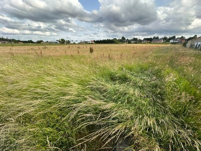 Landbouwgrond hooiweide Rillaar, Immo, Rillaar, 1500 m² of meer