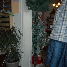sapin artificielle, Enlèvement, Utilisé