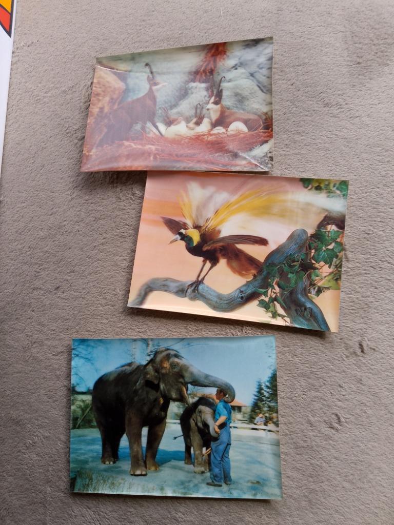 Oude 3D kaarten dieren, Verzamelen, Verzenden