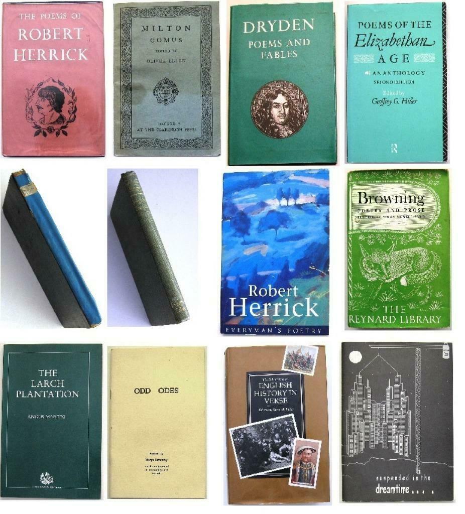 [Engelse Poëzie] (12x) Herrick Sassoon Milton Dryden Brooke, Boeken, Ophalen of Verzenden, Gelezen