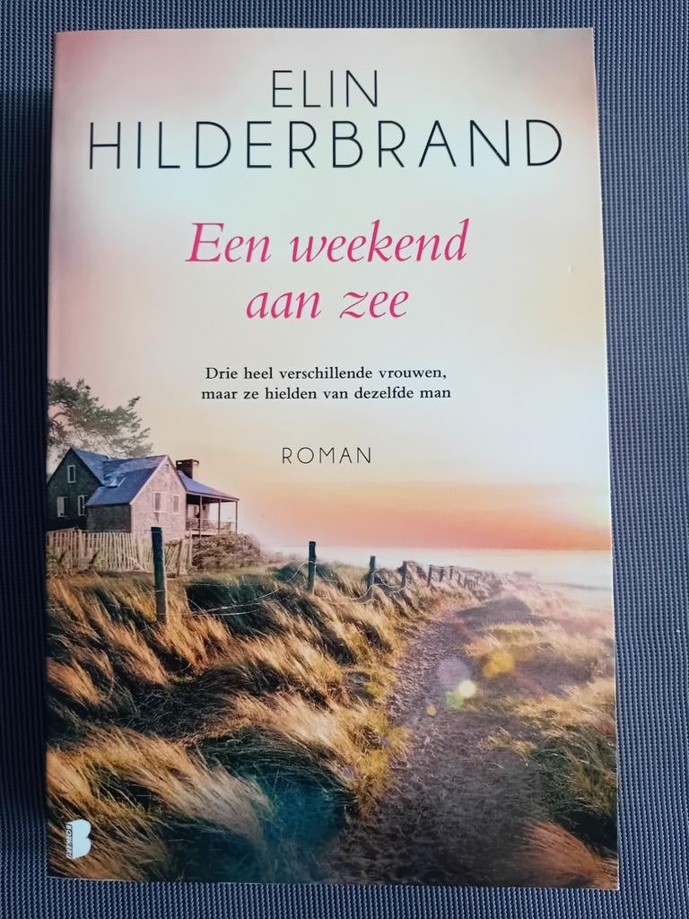 Elin Hilderbrand  - Een weekend aan zee, Ophalen of Verzenden, Zo goed als nieuw