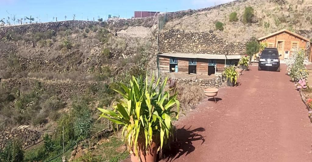 Finca Guia de Isora, Immo, 11500 m², Overige soorten, Spanje, Landelijk