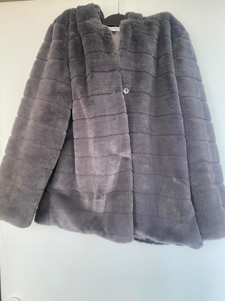 Veste fausse fourrure grise, Vêtements | Femmes, Vestes | Hiver, Enlèvement, Comme neuf