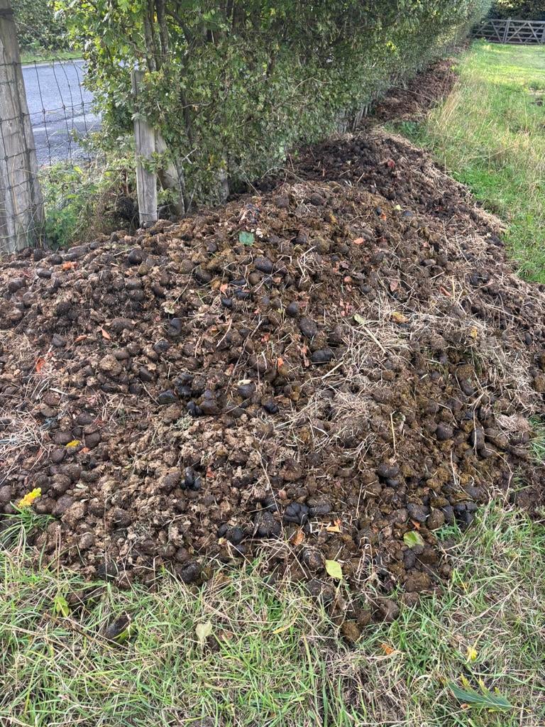 Fumier de cheval frais gratuit, Enlèvement, Fumier