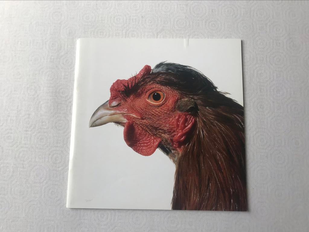 Koen Vanmechelen sculpturen 40pag, Ophalen of Verzenden, Zo goed als nieuw, Beeldhouwkunst