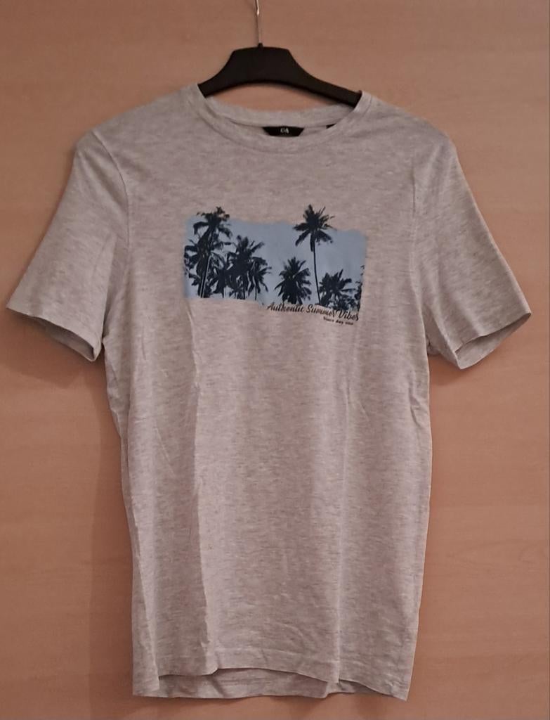 ︎ T-shirt (taille S), Vêtements | Hommes, T-shirts, Gris, Enlèvement ou Envoi, Taille 46 (S) ou plus petite, Comme neuf