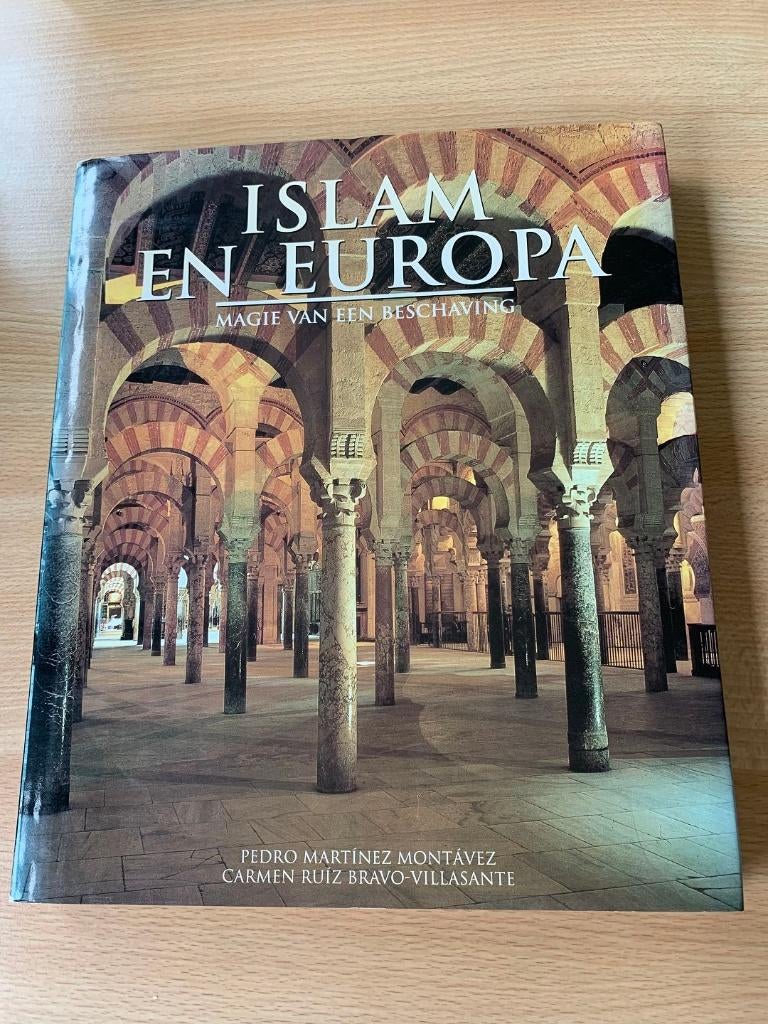 Islam en Europa: magie van een beschaving, moslimcultuur, Boeken, Godsdienst en Theologie, Ophalen of Verzenden, Zo goed als nieuw
