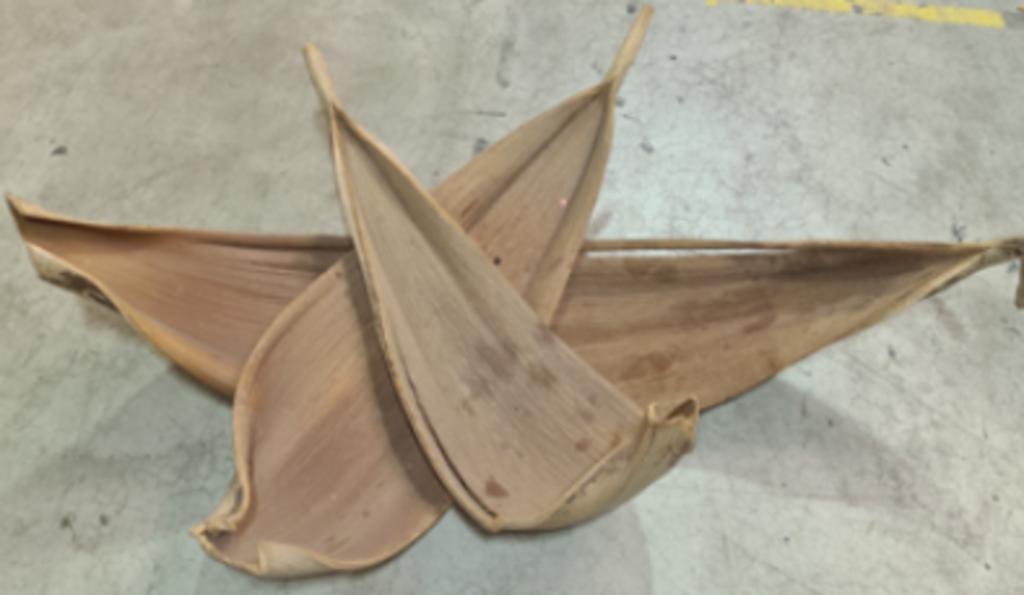 Decoratie bananenblad, Ophalen, Zo goed als nieuw