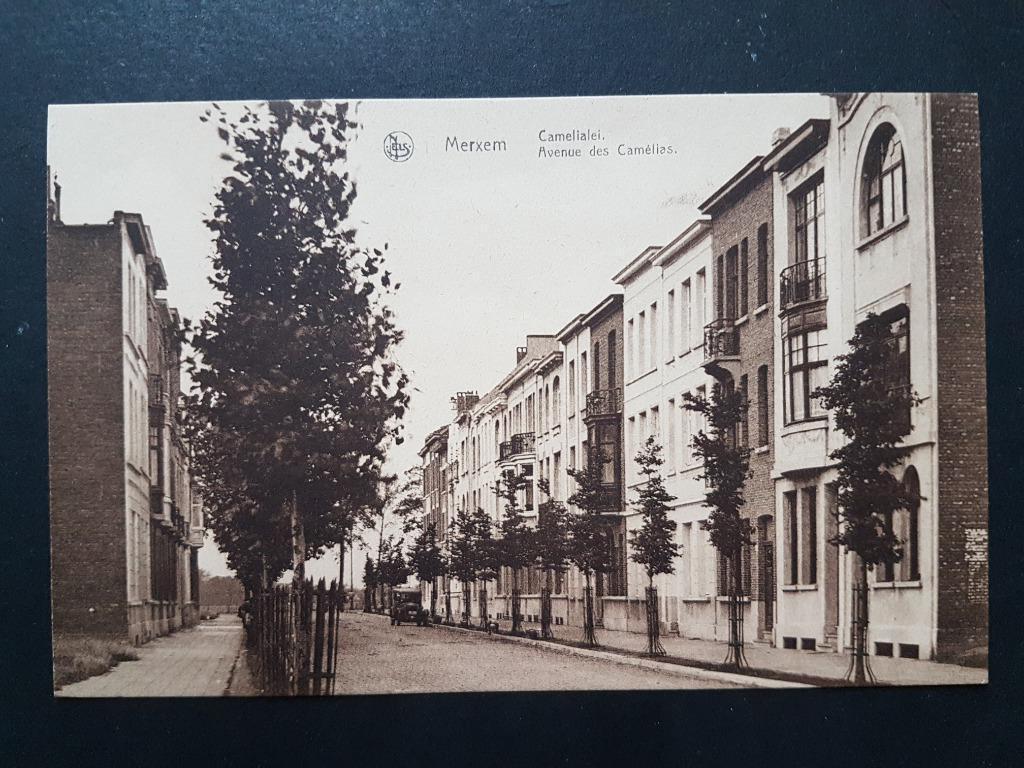 Postkaart Merksem Merxem Camelialei, Verzamelen, Ophalen of Verzenden, 1920 tot 1940, Ongelopen, Antwerpen