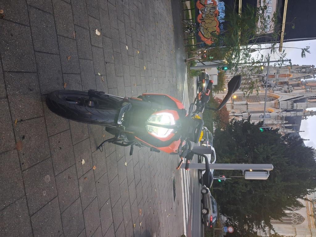 Moto KTM Duke 125, Motos, Permis Moto A1 minimum, ABS, 125 cm³, Jusqu'à 11 kW