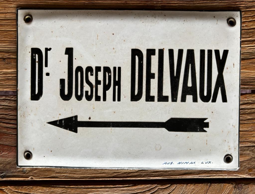 Plaque émaillée Dr DELVAUX Luxembourg 1930, Collections, Envoi