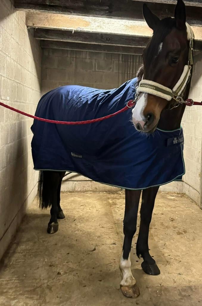 Bucas smartex Rain, Dieren en Toebehoren, Ophalen of Verzenden, Zo goed als nieuw, Deken