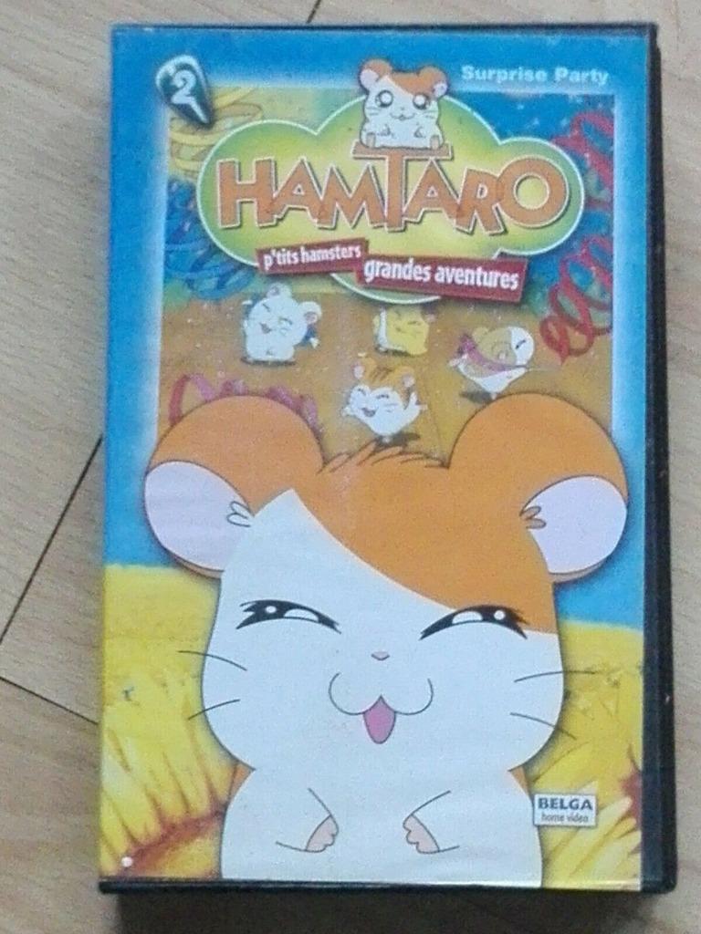 Cassette VHS Hamtaro Volume 2 surprise party, CD & DVD, VHS | Film, Tous les âges, Enlèvement ou Envoi, Utilisé, Autres genres