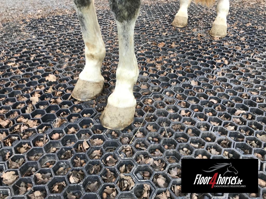 Dalles anti boue de paddock, 4 chevaux ou poneys ou plus