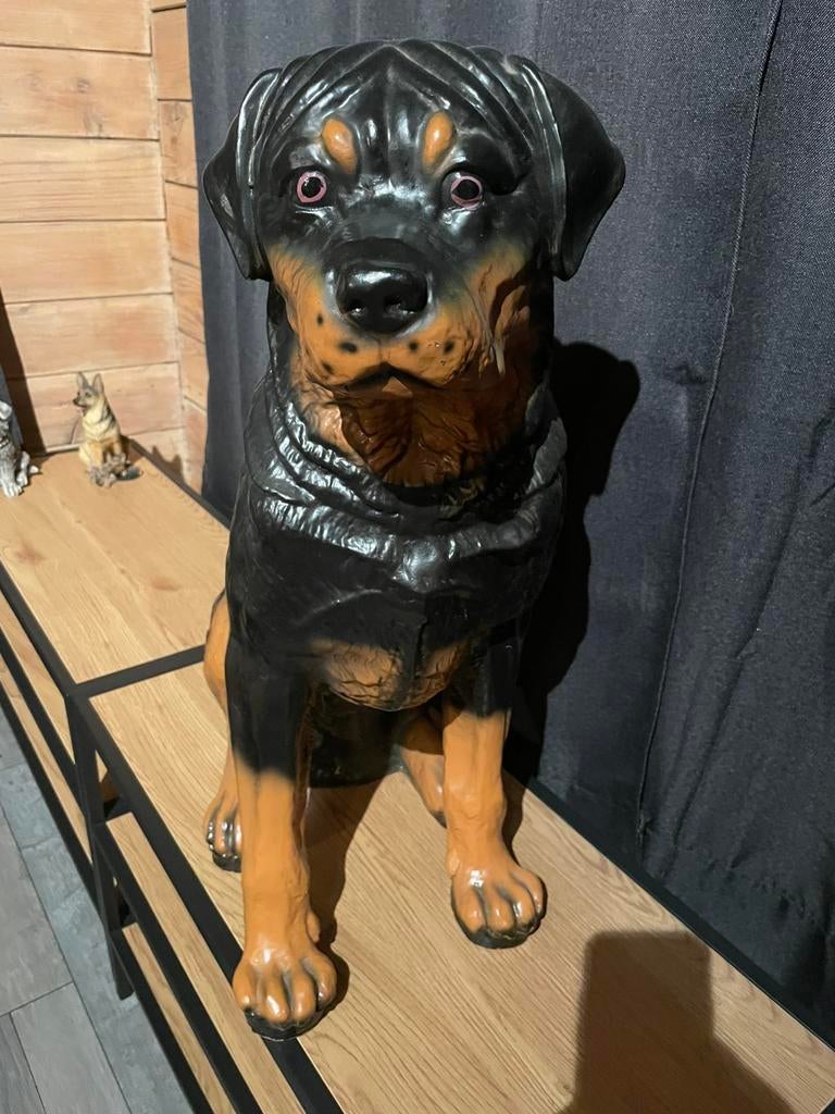 Rottweiler beeld in polyester, Enlèvement, Comme neuf, Animal