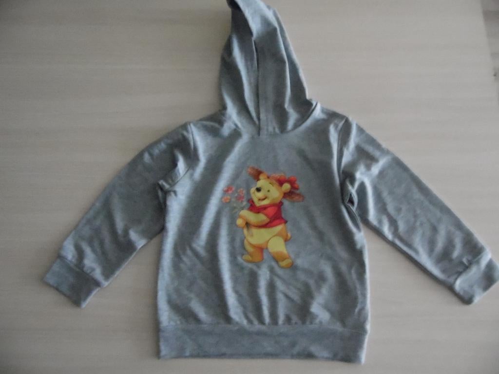 NIEUWE WINNIE DISNEY HOODIE, Kinderen en Baby's, Kinderkleding | Maat 110, Disney, Trui of Vest, Nieuw, Ophalen of Verzenden