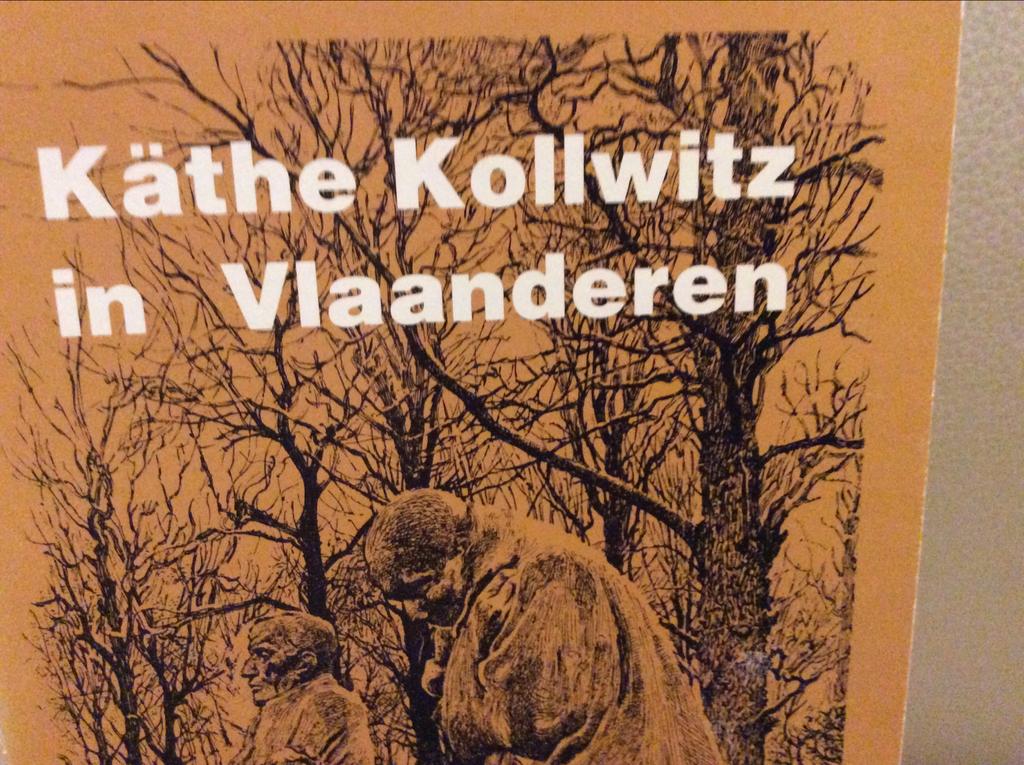 KATHE. KOLLWITZ  in Vlaanderen 6 de druk..RAF Seys, Ophalen of Verzenden, Zo goed als nieuw