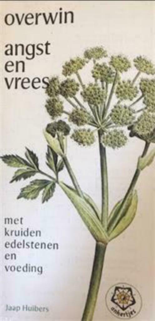 Overwin angst en vrees, Jaap Huibers, Ankertjes, Boeken, Ophalen