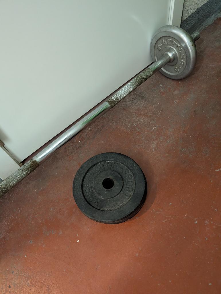 haltères de gym à domicile, Sports & Fitness, Enlèvement, Utilisé, Set d’haltères