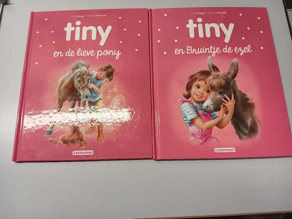 boeken Tiny, Enlèvement ou Envoi, Comme neuf, Fiction général