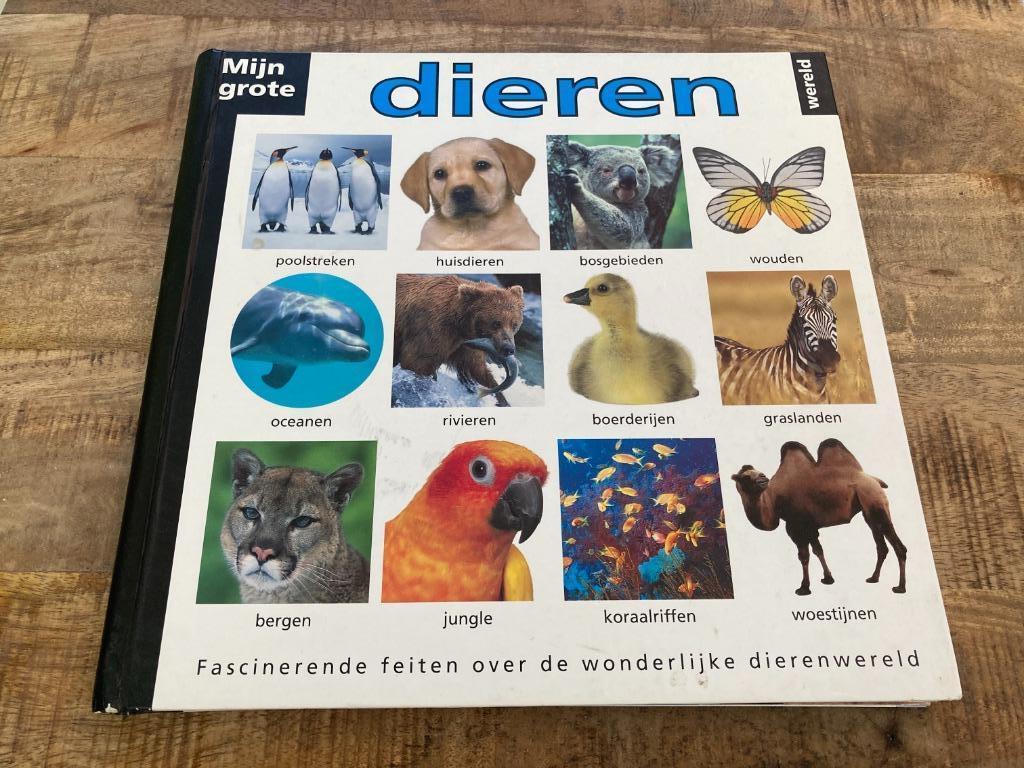 Informatief boek - Mijn grote wereld: Dieren, Enlèvement ou Envoi, Utilisé