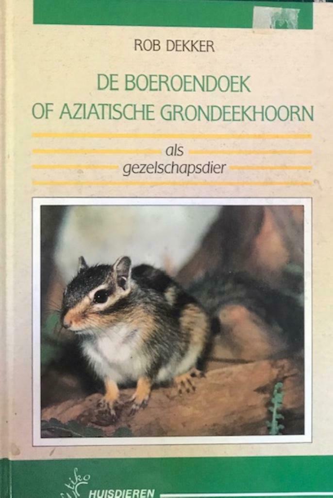 Boeroendoek of Aziatische grondeekhoorn als gezelschapsdier, Ophalen of Verzenden, Konijnen of Knaagdieren