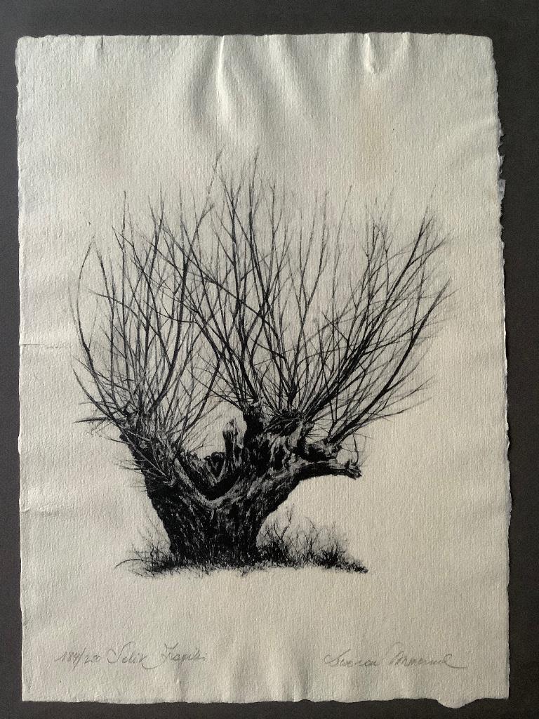 Litho's Van Immerseel, Antiek en Kunst, Ophalen