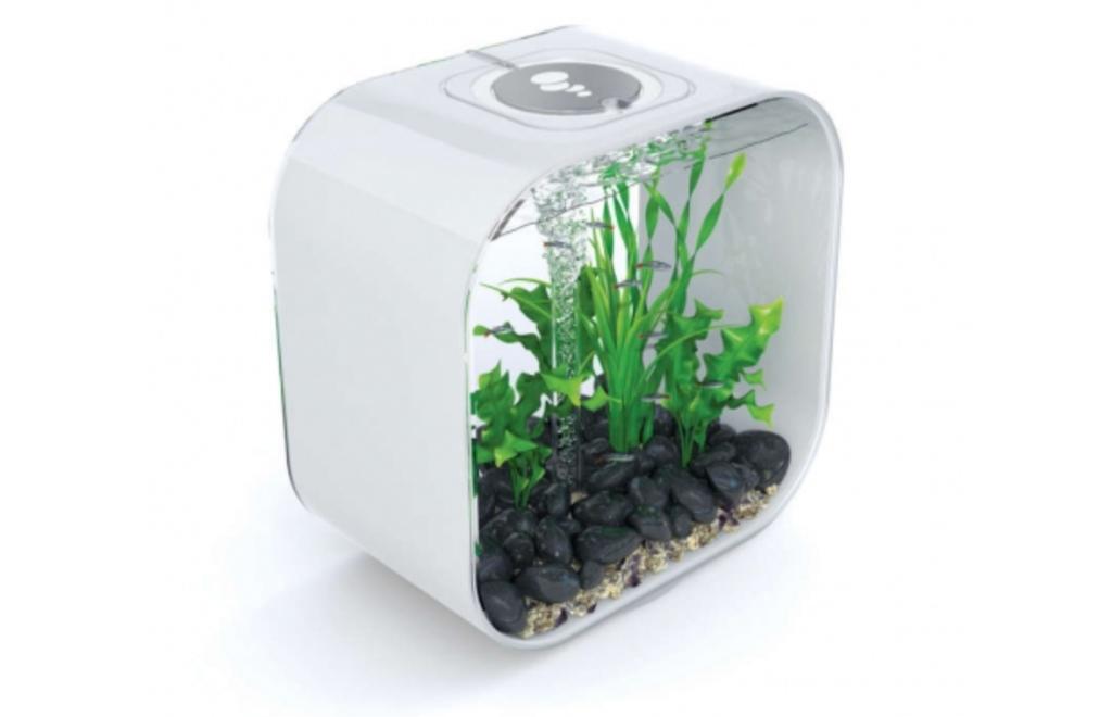 Biorb aquarium, Ophalen, Zo goed als nieuw, Leeg aquarium