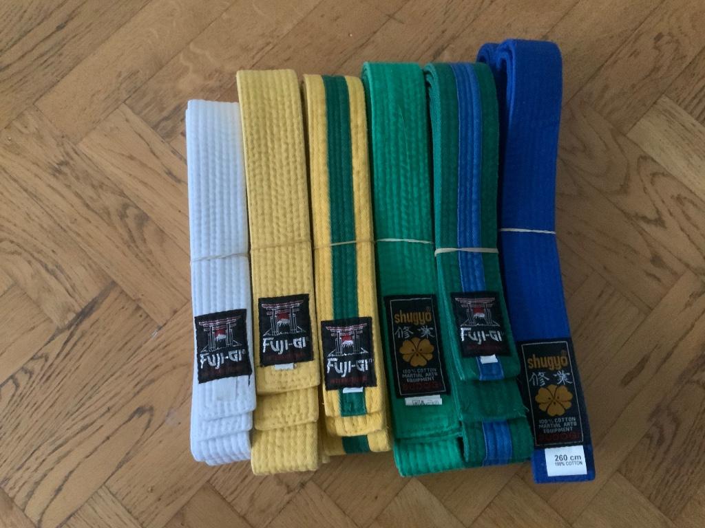Ceintures pour Taekwondo, Sport en Fitness, Vechtsporten en Zelfverdediging, Zo goed als nieuw, Taekwondo, Vechtsportkleding, Maat XS of kleiner