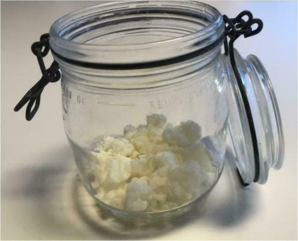 Melkkefir (ook 'yoghurtbloempjes' genoemd), Divers, Produits alimentaires, Enlèvement